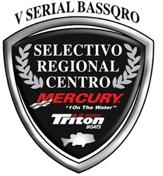 Logo Serial Selectivo 2008.jpg